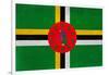 Dominica Flag Design with Wood Patterning - Flags of the World Series-Philippe Hugonnard-Framed Art Print