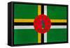 Dominica Flag Design with Wood Patterning - Flags of the World Series-Philippe Hugonnard-Framed Stretched Canvas