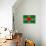 Dominica Flag Design with Wood Patterning - Flags of the World Series-Philippe Hugonnard-Stretched Canvas displayed on a wall