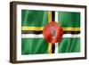 Dominica Flag-daboost-Framed Premium Giclee Print