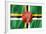 Dominica Flag-daboost-Framed Art Print