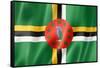 Dominica Flag-daboost-Framed Stretched Canvas