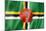 Dominica Flag-daboost-Mounted Art Print