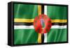 Dominica Flag-daboost-Framed Stretched Canvas