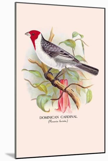 Dominican Cardinal-Arthur G. Butler-Mounted Art Print