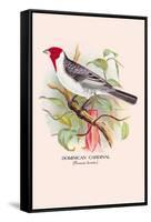 Dominican Cardinal-Arthur G. Butler-Framed Stretched Canvas