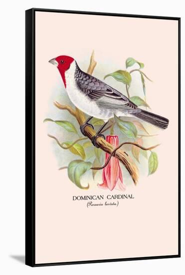 Dominican Cardinal-Arthur G. Butler-Framed Stretched Canvas