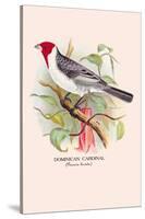 Dominican Cardinal-Arthur G. Butler-Stretched Canvas