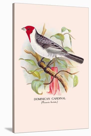 Dominican Cardinal-Arthur G. Butler-Stretched Canvas