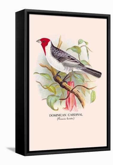 Dominican Cardinal-Arthur G. Butler-Framed Stretched Canvas