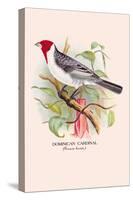 Dominican Cardinal-Arthur G. Butler-Stretched Canvas