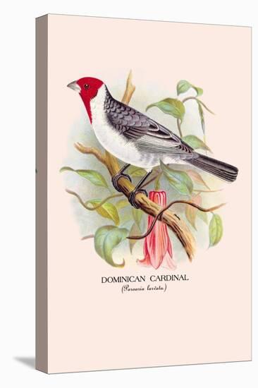 Dominican Cardinal-Arthur G. Butler-Stretched Canvas