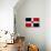 Dominican Republic Flag Design with Wood Patterning - Flags of the World Series-Philippe Hugonnard-Art Print displayed on a wall