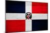 Dominican Republic Flag Design with Wood Patterning - Flags of the World Series-Philippe Hugonnard-Mounted Premium Giclee Print