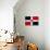 Dominican Republic Flag Design with Wood Patterning - Flags of the World Series-Philippe Hugonnard-Stretched Canvas displayed on a wall