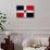 Dominican Republic Flag Design with Wood Patterning - Flags of the World Series-Philippe Hugonnard-Art Print displayed on a wall