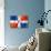 Dominican Republic Flag-daboost-Art Print displayed on a wall