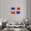 Dominican Republic Flag-daboost-Art Print displayed on a wall