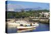 Dominican Republic Port De Samana (Hispaniola)-null-Stretched Canvas