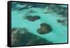 Dominican Republic, Punta Cana, Bavaro, View of Two Heart Shaped Reefs-Jane Sweeney-Framed Stretched Canvas