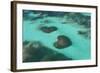 Dominican Republic, Punta Cana, Bavaro, View of Two Heart Shaped Reefs-Jane Sweeney-Framed Photographic Print