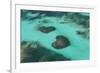 Dominican Republic, Punta Cana, Bavaro, View of Two Heart Shaped Reefs-Jane Sweeney-Framed Photographic Print