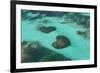 Dominican Republic, Punta Cana, Bavaro, View of Two Heart Shaped Reefs-Jane Sweeney-Framed Photographic Print