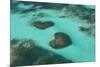 Dominican Republic, Punta Cana, Bavaro, View of Two Heart Shaped Reefs-Jane Sweeney-Mounted Photographic Print