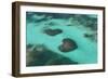 Dominican Republic, Punta Cana, Bavaro, View of Two Heart Shaped Reefs-Jane Sweeney-Framed Photographic Print