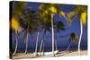 Dominican Republic, Punta Cana, Cap Cana Beach-Jane Sweeney-Stretched Canvas