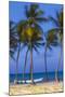 Dominican Republic, Punta Cana, Cap Cana Beach-Jane Sweeney-Mounted Photographic Print