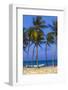 Dominican Republic, Punta Cana, Cap Cana Beach-Jane Sweeney-Framed Photographic Print