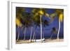 Dominican Republic, Punta Cana, Cap Cana Beach-Jane Sweeney-Framed Photographic Print