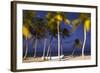 Dominican Republic, Punta Cana, Cap Cana Beach-Jane Sweeney-Framed Photographic Print