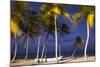 Dominican Republic, Punta Cana, Cap Cana Beach-Jane Sweeney-Mounted Photographic Print