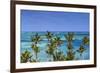 Dominican Republic, Punta Cana, Cap Cana, Sanctuary Cap Cana Resort and Spa-Jane Sweeney-Framed Photographic Print