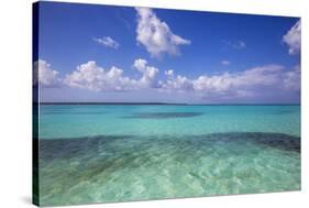 Dominican Republic, Punta Cana, Parque Nacional Del Este, Piscina Natural , a Shallow Sandbank-Jane Sweeney-Stretched Canvas