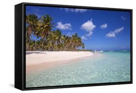 Dominican Republic, Punta Cana, Parque Nacional Del Este, Saona Island, Canto De La Playa-Jane Sweeney-Framed Stretched Canvas