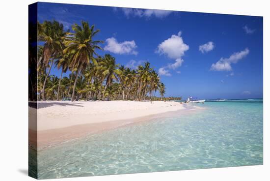 Dominican Republic, Punta Cana, Parque Nacional Del Este, Saona Island, Canto De La Playa-Jane Sweeney-Stretched Canvas