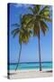 Dominican Republic, Punta Cana, Parque Nacional Del Este, Saona Island, Canto De La Playa-Jane Sweeney-Stretched Canvas