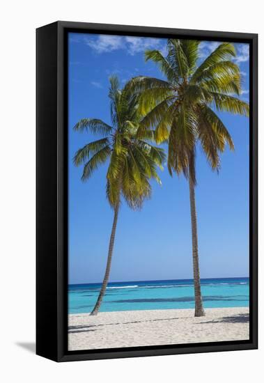 Dominican Republic, Punta Cana, Parque Nacional Del Este, Saona Island, Canto De La Playa-Jane Sweeney-Framed Stretched Canvas