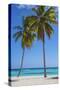 Dominican Republic, Punta Cana, Parque Nacional Del Este, Saona Island, Canto De La Playa-Jane Sweeney-Stretched Canvas