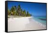 Dominican Republic, Punta Cana, Parque Nacional Del Este, Saona Island, Canto De La Playa-Jane Sweeney-Framed Stretched Canvas