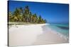 Dominican Republic, Punta Cana, Parque Nacional Del Este, Saona Island, Canto De La Playa-Jane Sweeney-Stretched Canvas