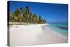 Dominican Republic, Punta Cana, Parque Nacional Del Este, Saona Island, Canto De La Playa-Jane Sweeney-Stretched Canvas