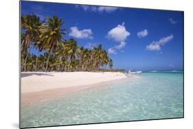 Dominican Republic, Punta Cana, Parque Nacional Del Este, Saona Island, Canto De La Playa-Jane Sweeney-Mounted Photographic Print