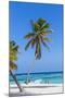 Dominican Republic, Punta Cana, Parque Nacional Del Este, Saona Island, Canto De La Playa-Jane Sweeney-Mounted Photographic Print