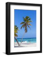 Dominican Republic, Punta Cana, Parque Nacional Del Este, Saona Island, Canto De La Playa-Jane Sweeney-Framed Photographic Print