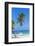 Dominican Republic, Punta Cana, Parque Nacional Del Este, Saona Island, Canto De La Playa-Jane Sweeney-Framed Photographic Print