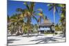 Dominican Republic, Punta Cana, Parque Nacional Del Este, Saona Island, Canto De La Playa-Jane Sweeney-Mounted Photographic Print